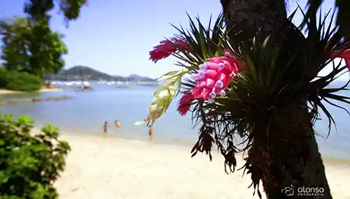 O que fazer em Florianópolis